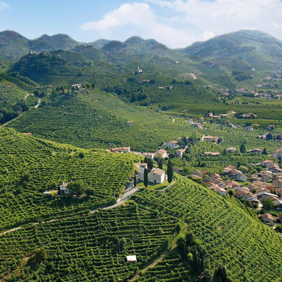 Weinlandschaft in Italien